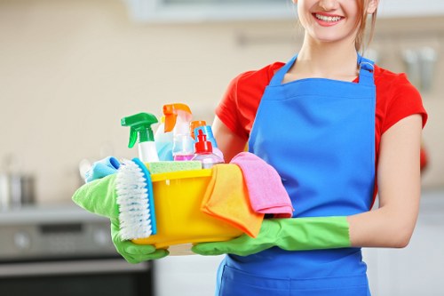 Professional upholstery cleaning for elegant Knightsbridge living rooms
