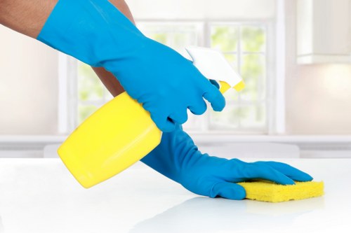 Local regular cleaning team working in Knightsbridge