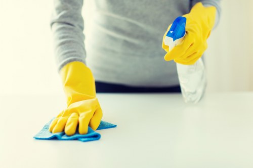 Professional gutter cleaning for Knightsbridge homes and period properties