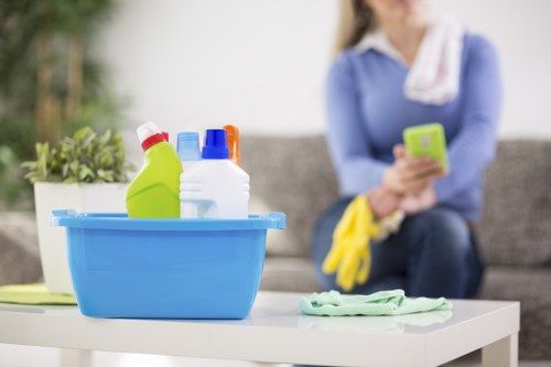 Senior staff assessing a carpet cleaning service issue