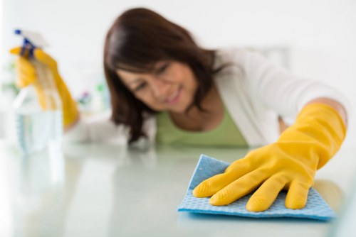 Detailed oven and hob cleaning service for Knightsbridge customers