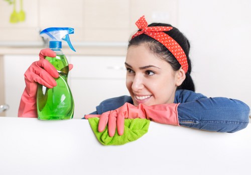 Airbnb cleaning checklist and property reset service for central London hosts