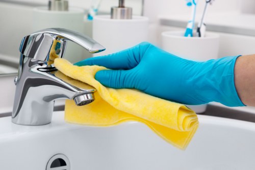 Internal review of a carpet cleaning complaint and service notes