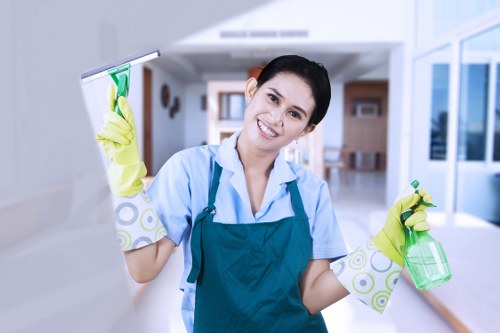 Detailed kitchen and bathroom cleaning in Knightsbridge